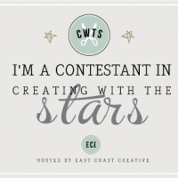 Creating with the Stars 2014