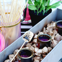 Entertaining Ideas: Girls Night S'mores Party