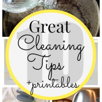 10 Cleaning Tips + Printables