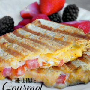 The Ultimate Gourmet “Grilled Cheese” Panini