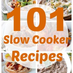 101 Slow Cooker Recipes