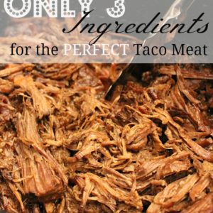 The Perfect Taco Meat