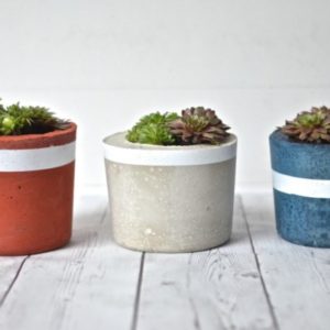 DIY Projects: Patriotic Concrete Planters
