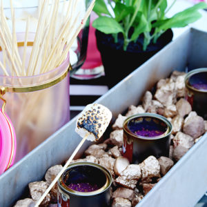 Entertaining Ideas: Girls Night S’mores Party