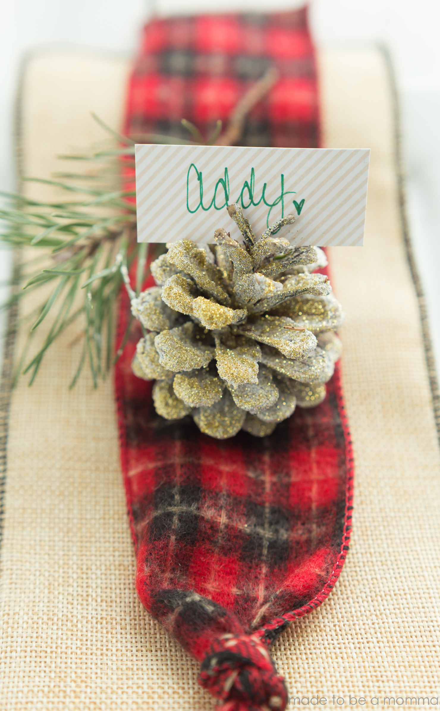 Bake Craft Sew Decorate: Snowy Pinecone Place Card
