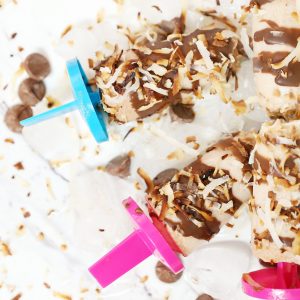 Chocolate Toasted Coconut Popsicle
