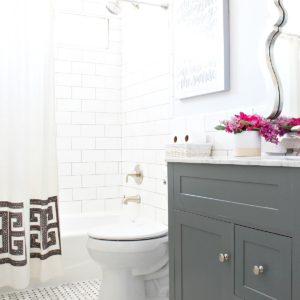 Prescott View Home Reno: Kids Bathroom Reno Reveal + Pfister faucet review