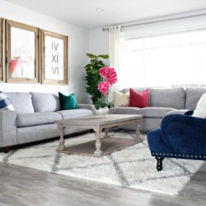 Prescott View Home Reno: Living Room Makeover