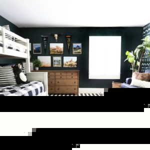 Boys Room Idea- Adventure Room