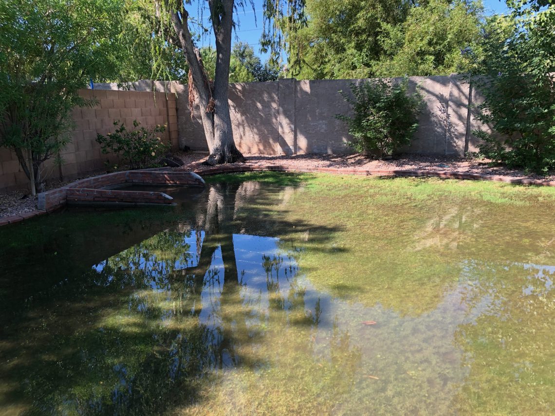 What is Flood Irrigation? Flood Irrigation in Phoenix Classy Clutter