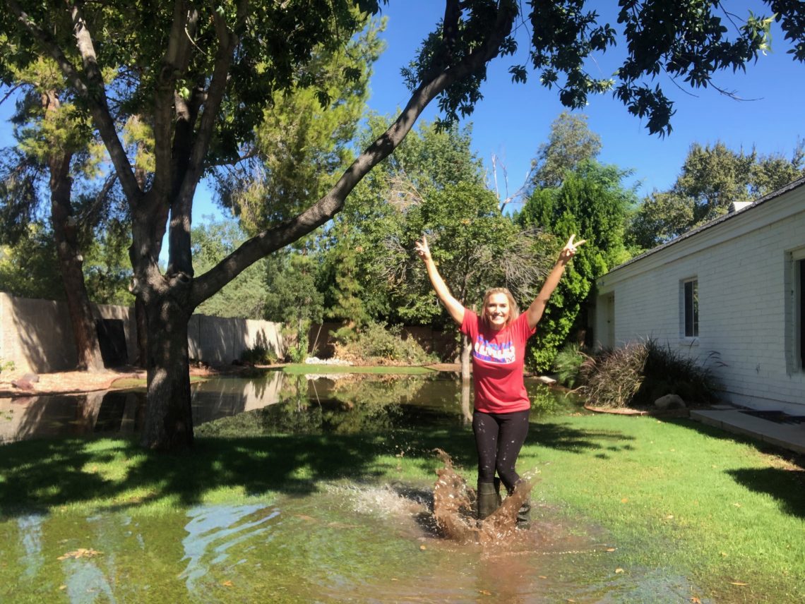 What is Flood Irrigation? Flood Irrigation in Phoenix Classy Clutter