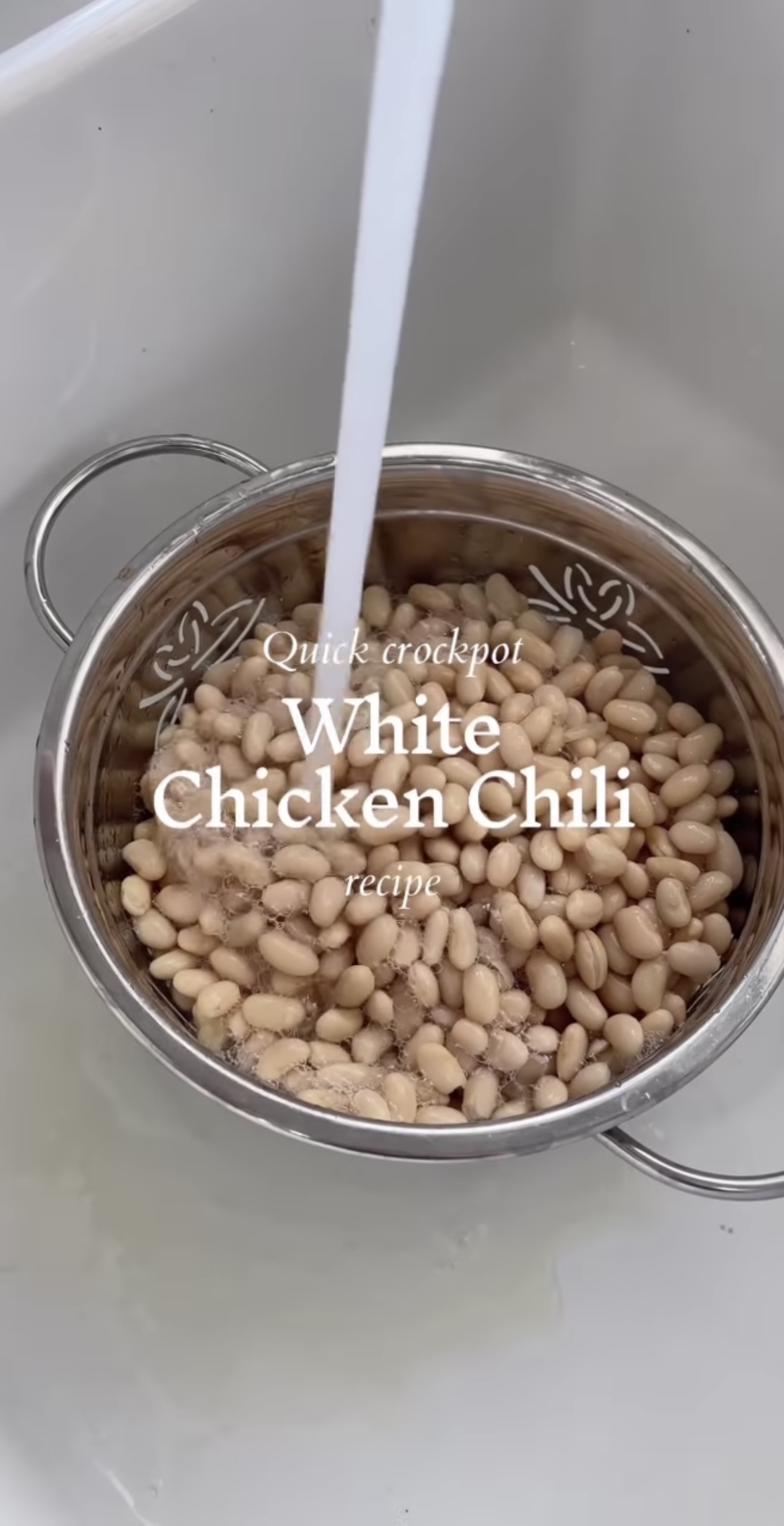 White Beans Used In White Chicken Chili Recipe